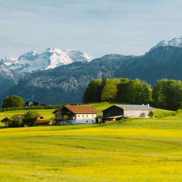 向往美好时光张妹