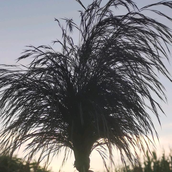 海经山
