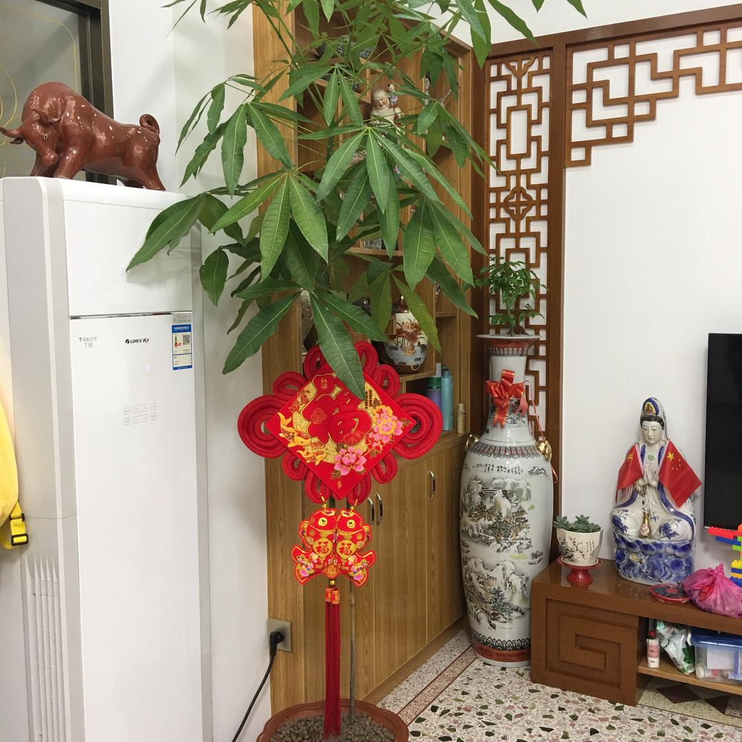 探路者田