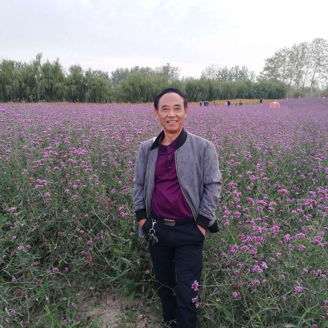 我就这样