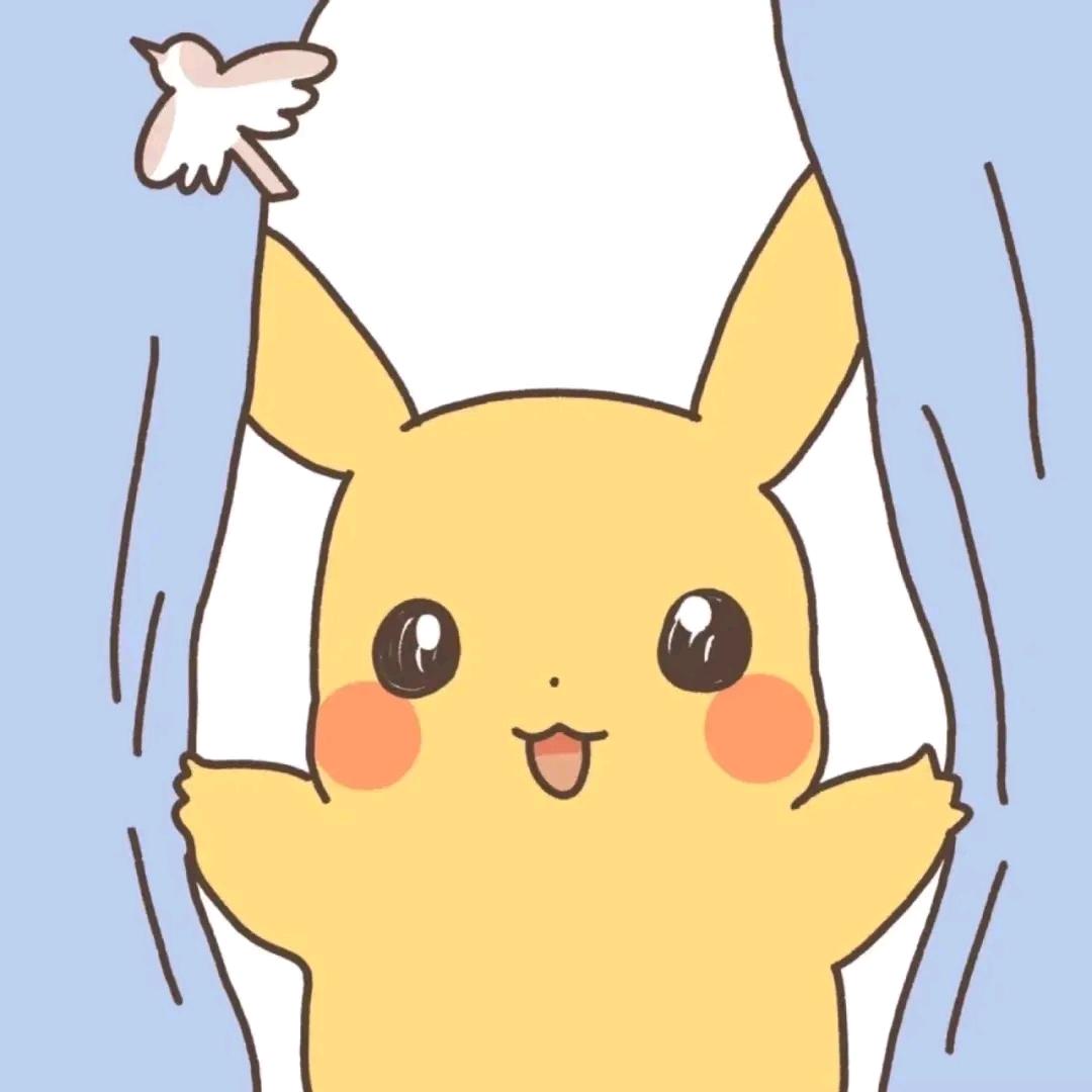 秦艽