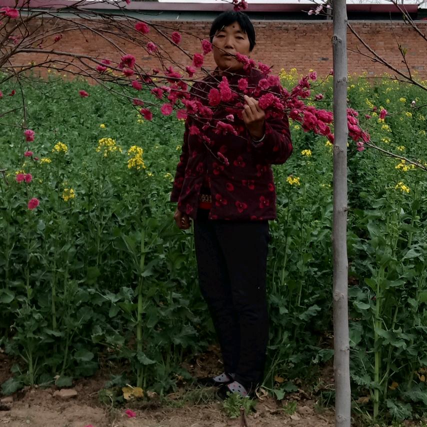 平安是福