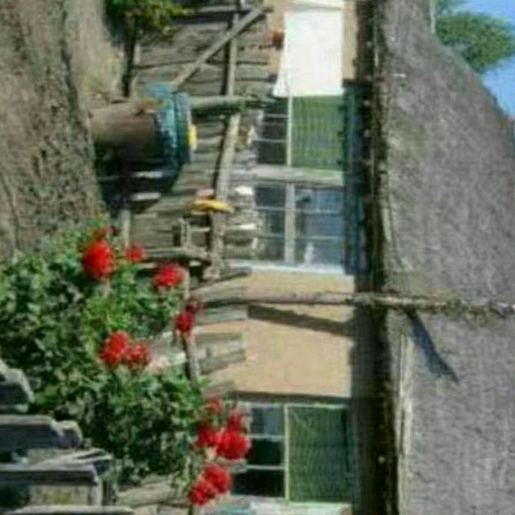 青鸾大街的杨圣人头像