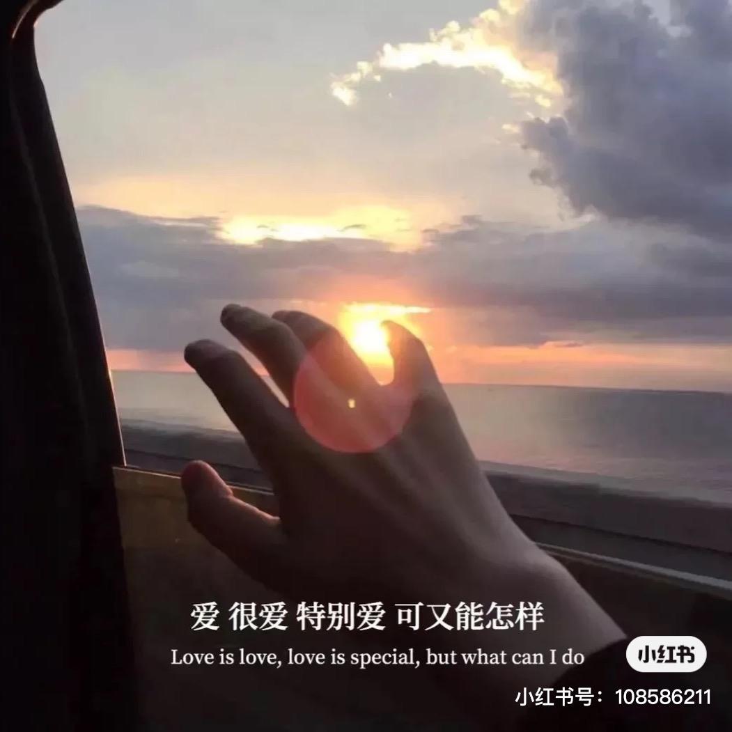 鹏鹏阿😄