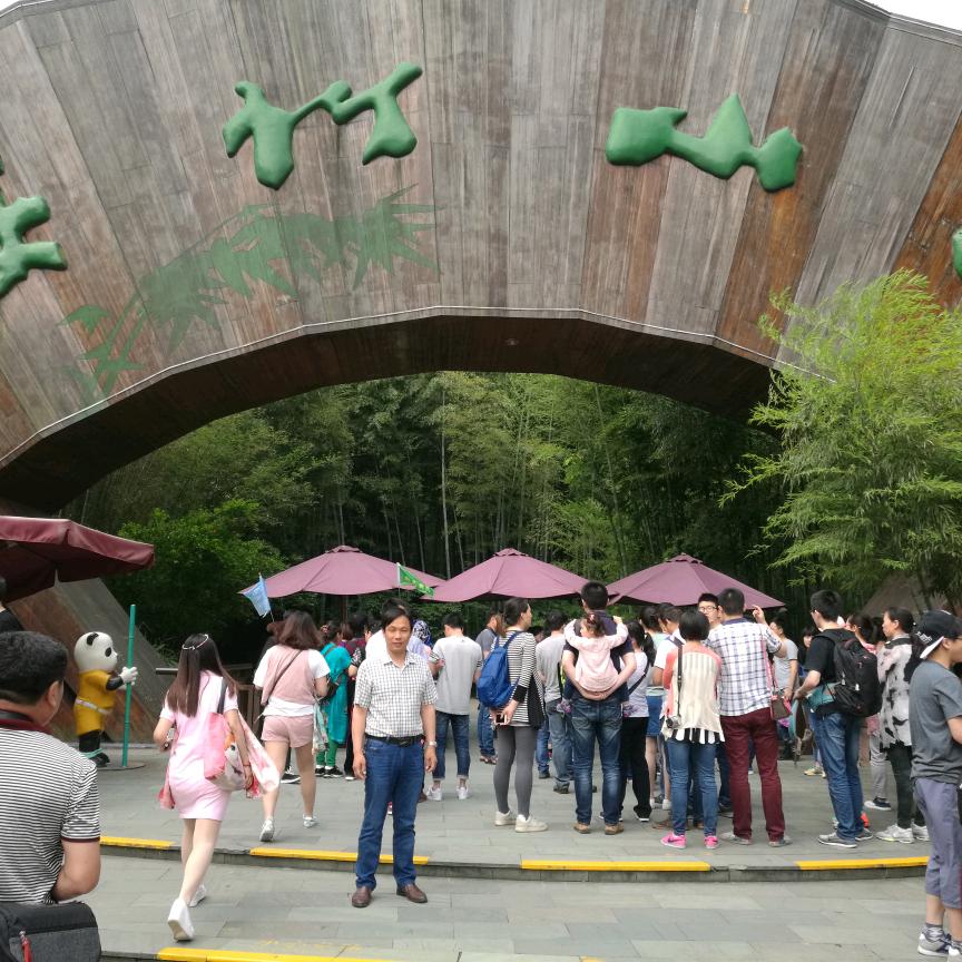 顺李成章