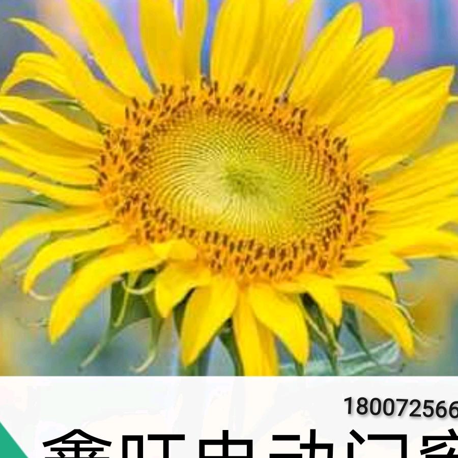 鑫旺门窗加工制作服务有限公司