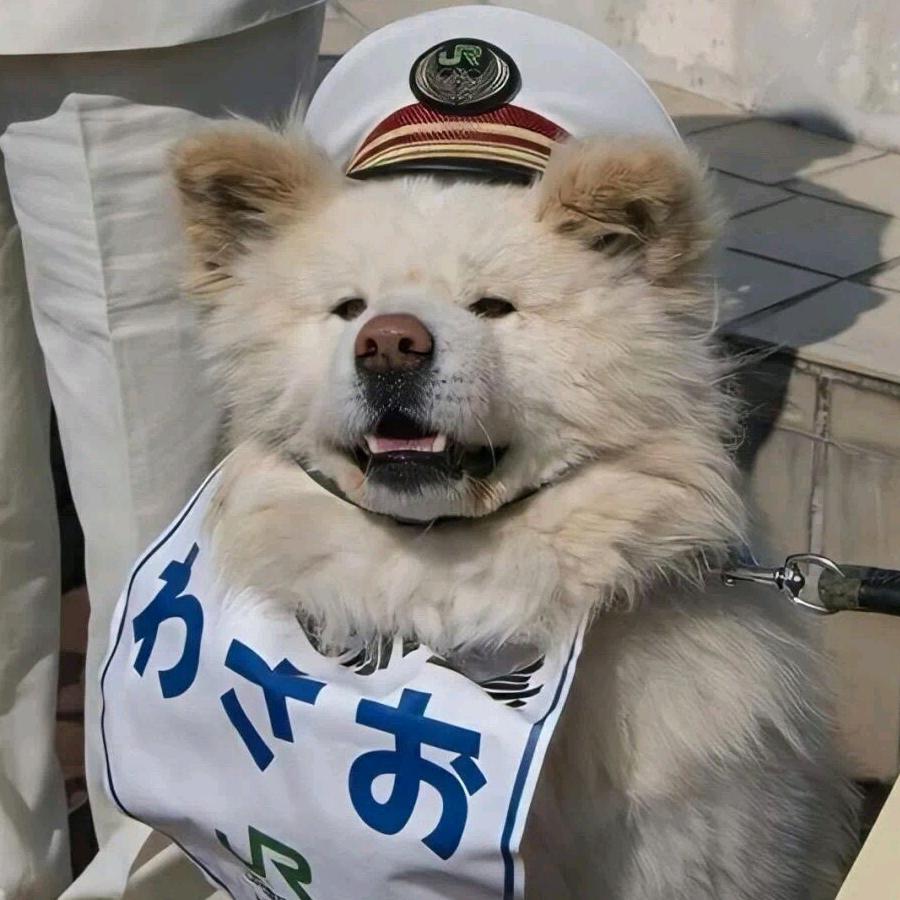 开塞露拌饭