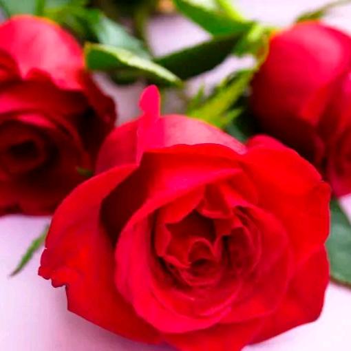 2O22408女生的孩子