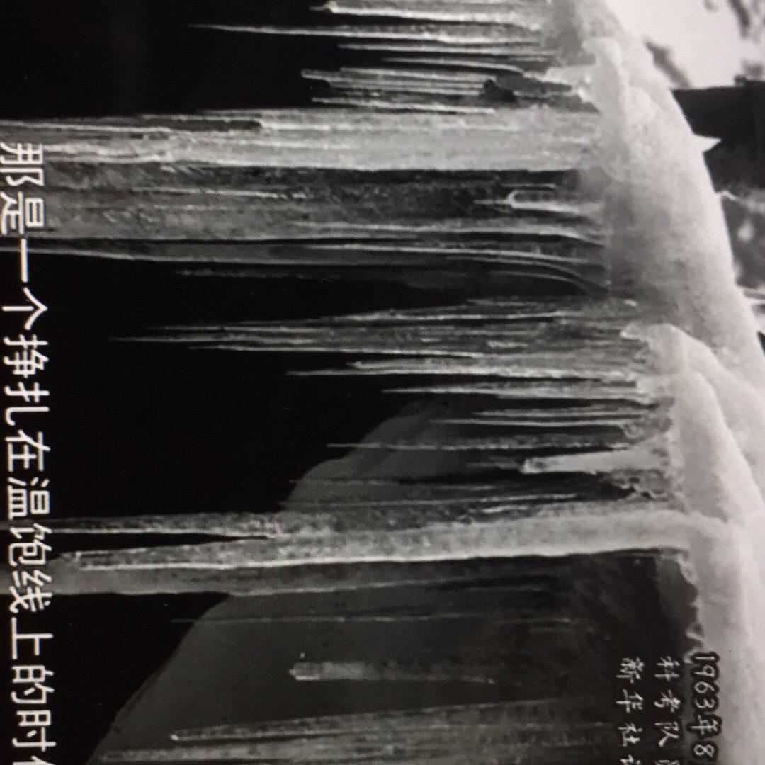 风雨航行
