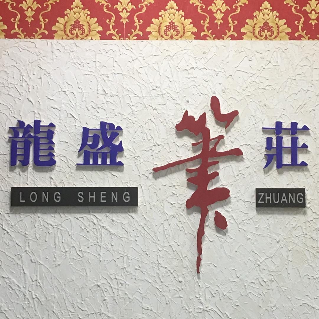 龙盛笔庄