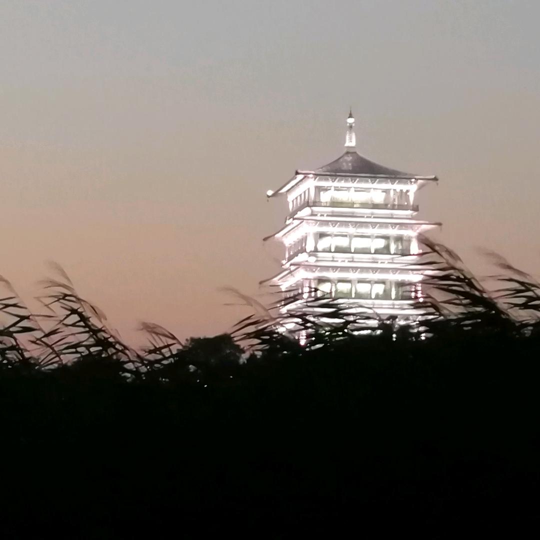 早晨八九点钟的太阳