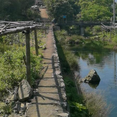 行风.风再起