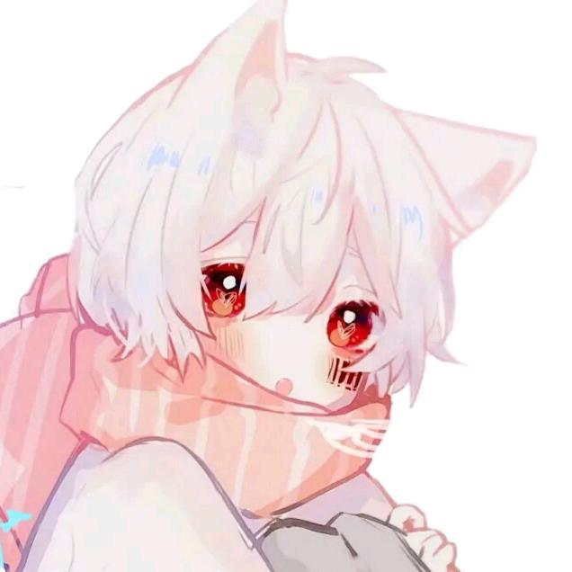 小     刺    猬