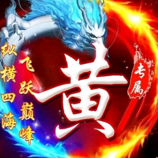 鸿霸天下