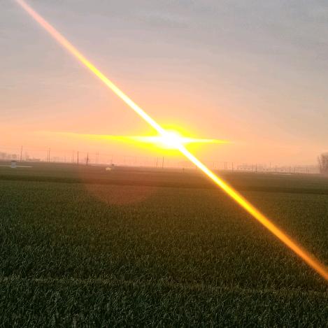 @杜͛来͛杜͛往͛