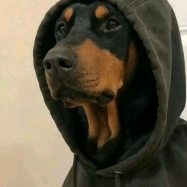 救赎