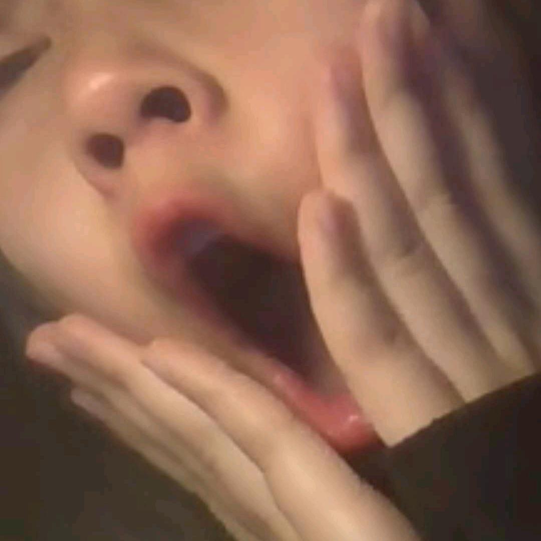 懒狗没有未来