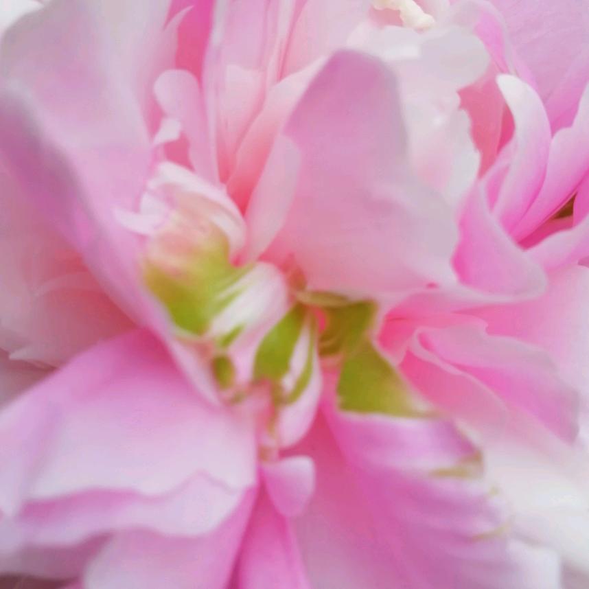 风🍁🍁🍁🍁🍁