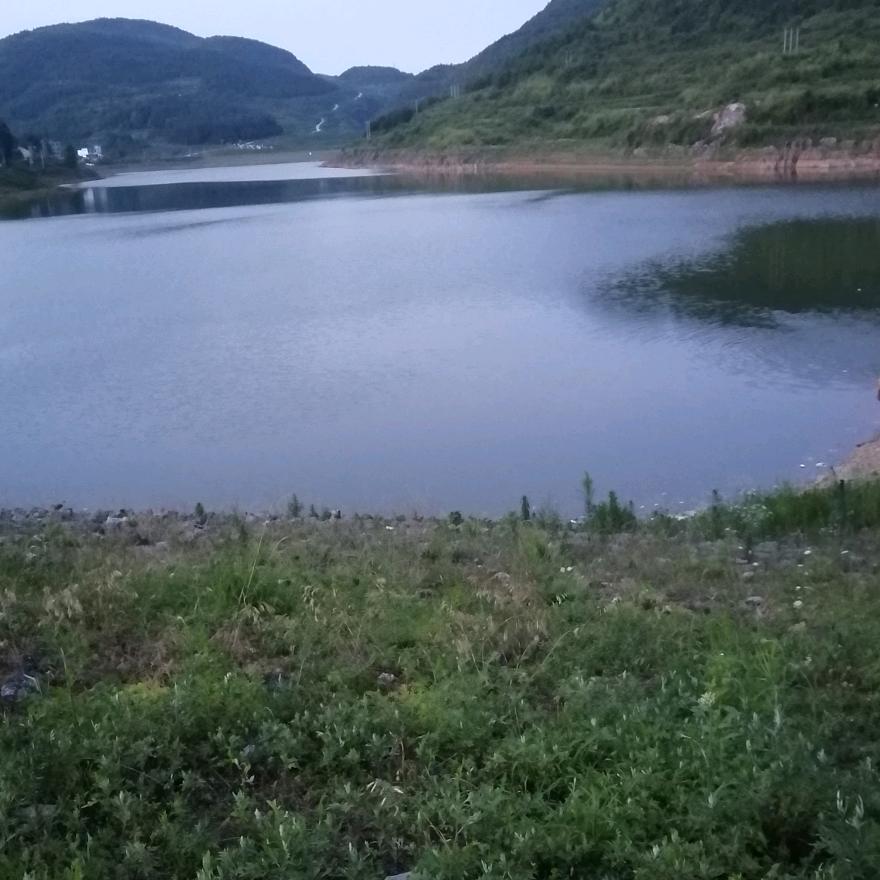 丁丁
