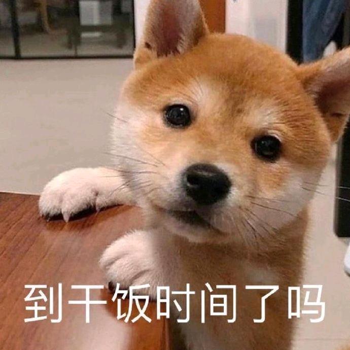 阳光明媚