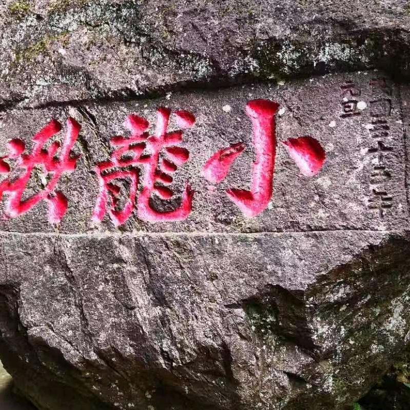 闯码头