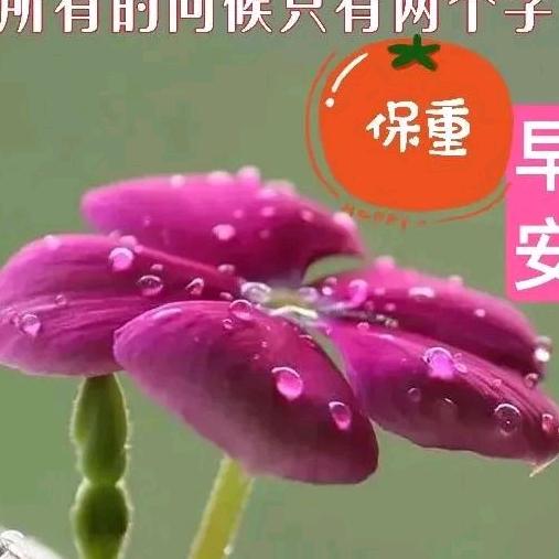 用户887294570565