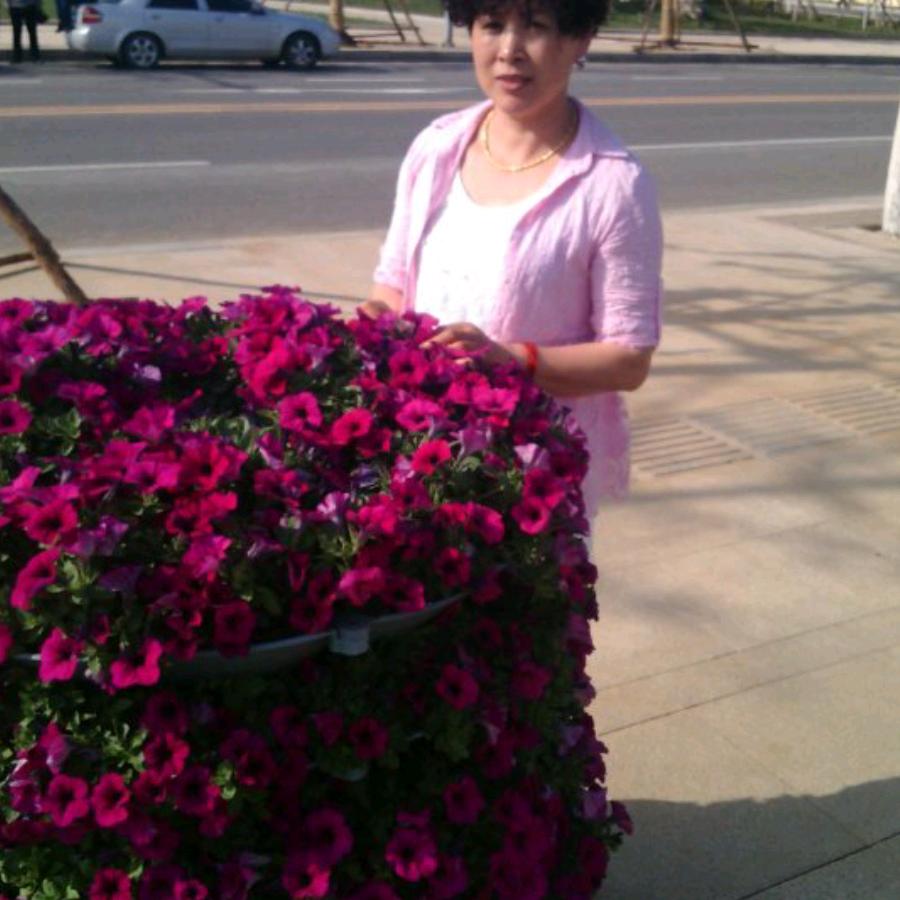 我的未来不是梦