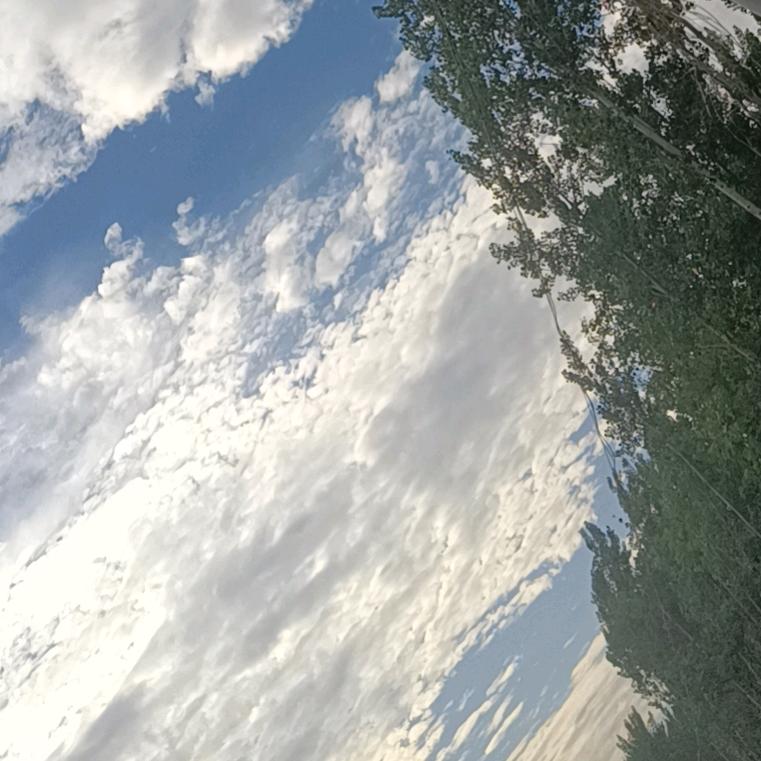 小王