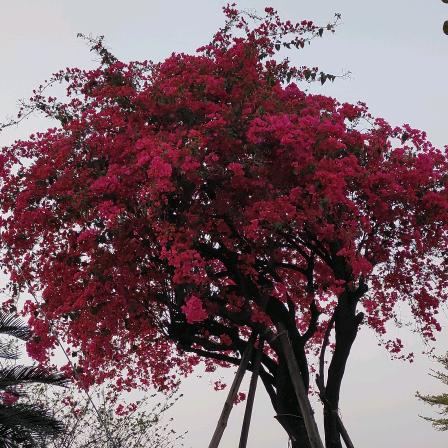 、无人╰つ像你