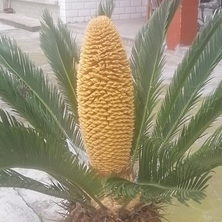 每天快乐