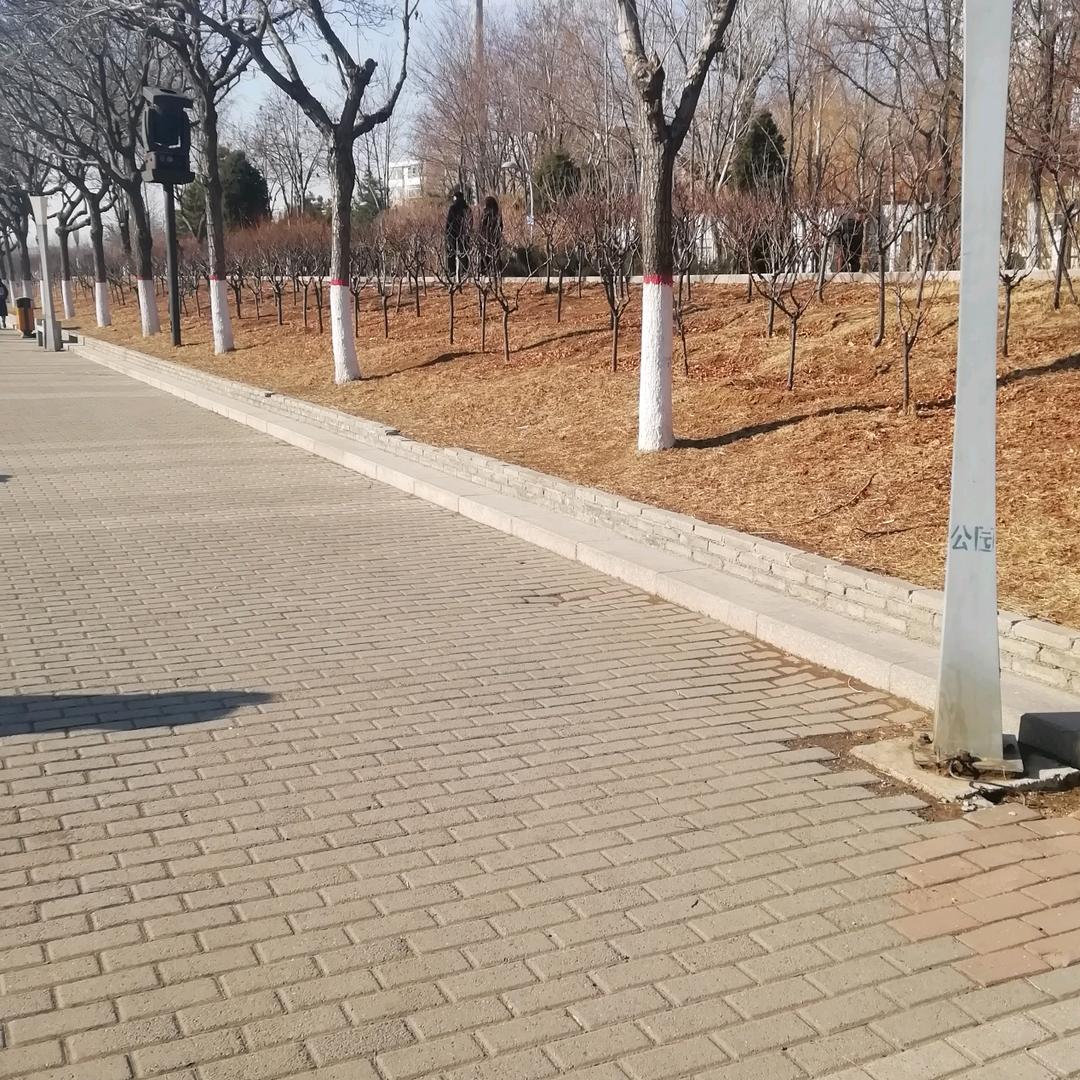 用户4550004117865馨语