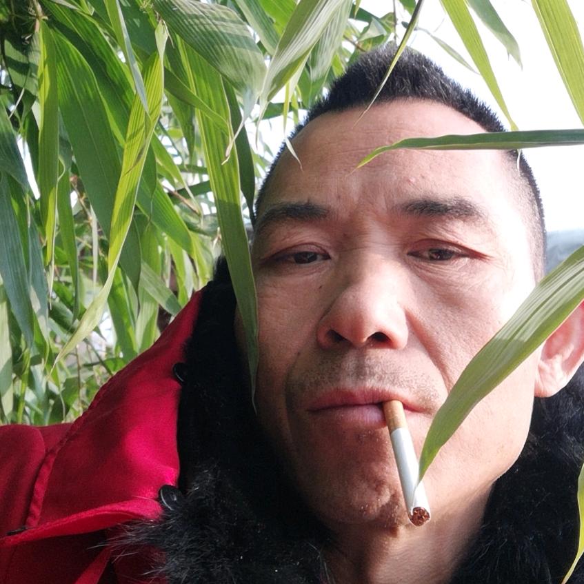 液压胶管