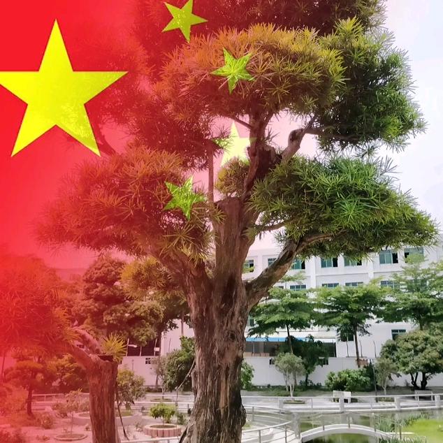 烽火铁骑