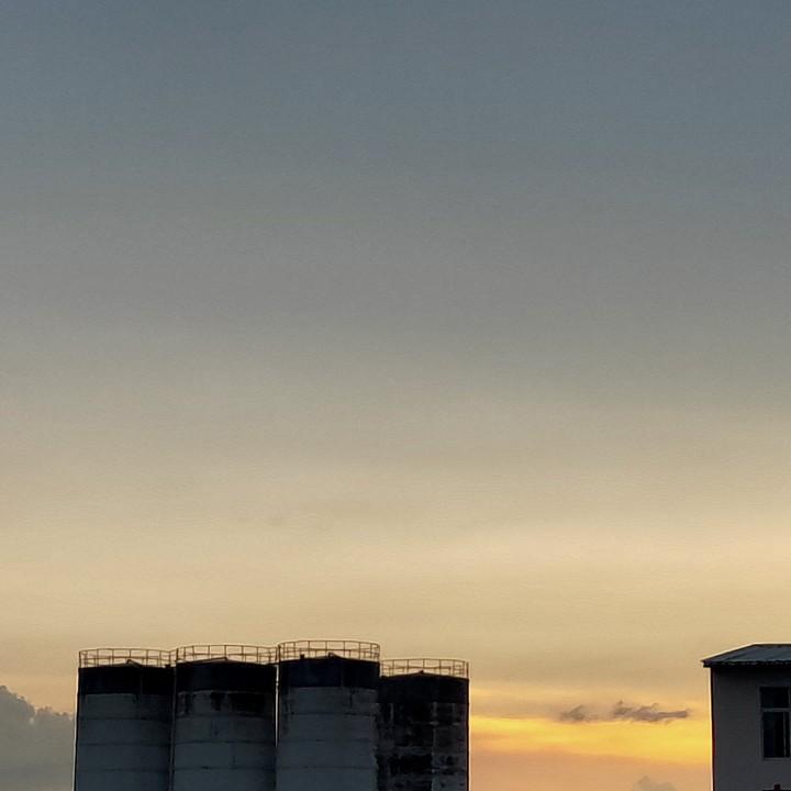 林青鱼.