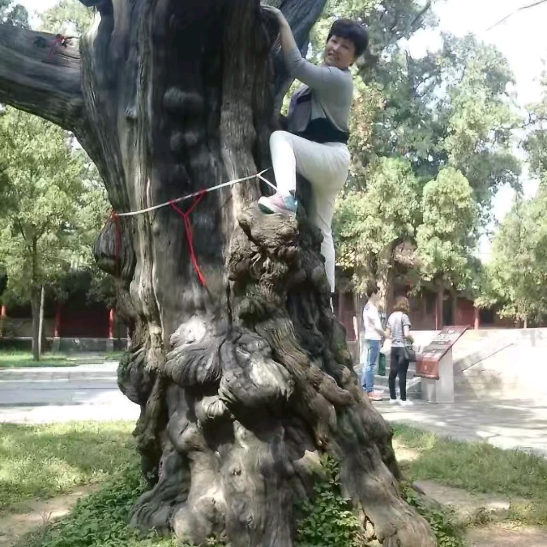 相伴到老