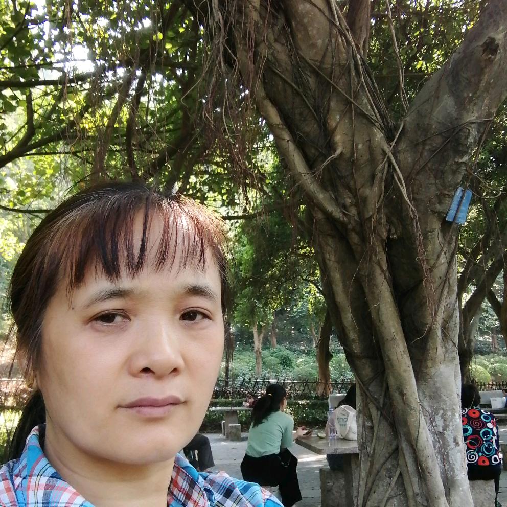 人生如梦