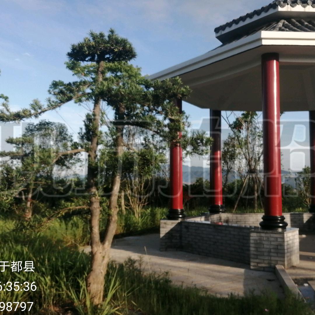 开心