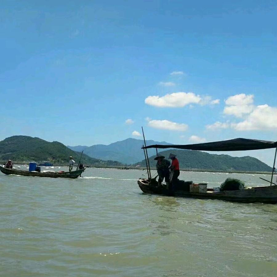 海比天蓝