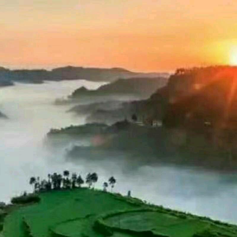 忠心卫國