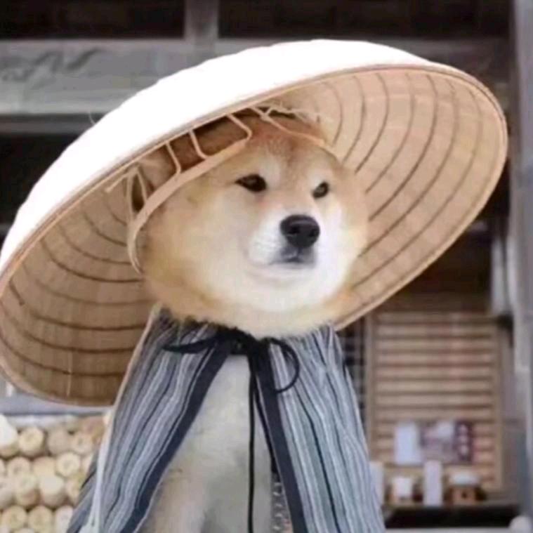 侠路相逢