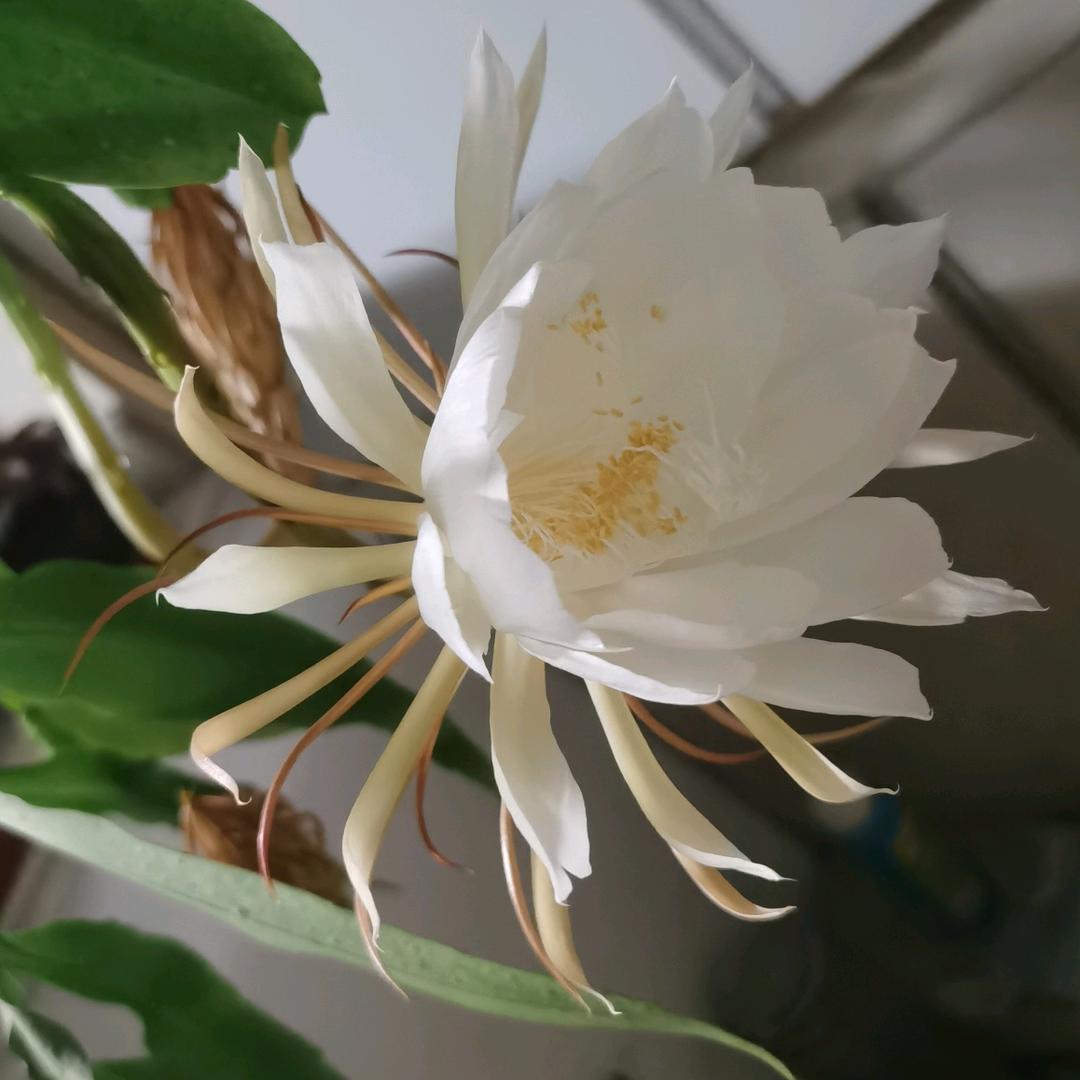 🔥🔥🔥🌧️🌧️🌧️