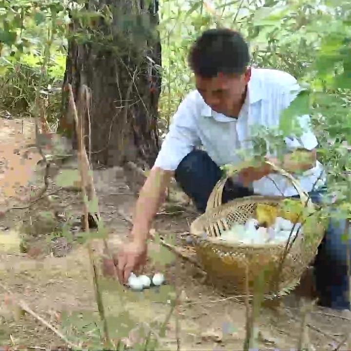 钟家生（多穗柯茶.乌骨土鸡蛋.蜂蜜）