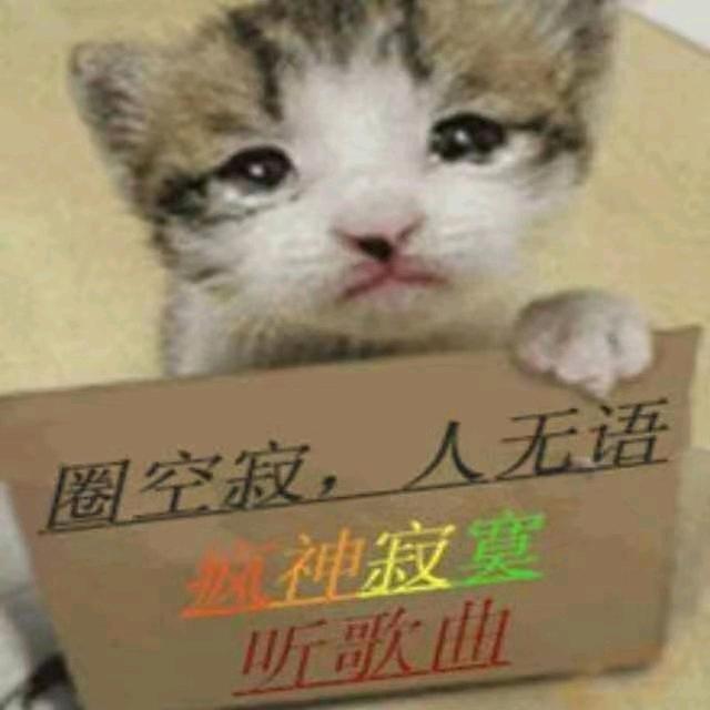 疯神吉他