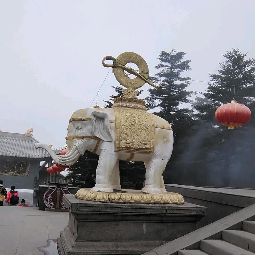 如来如愿