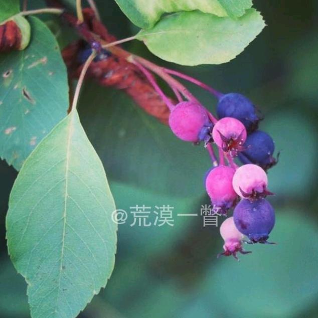 一心