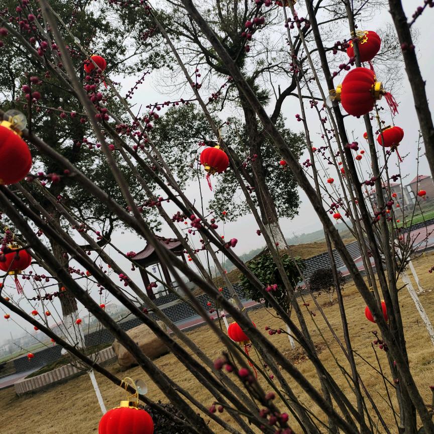 手机用户86944585402