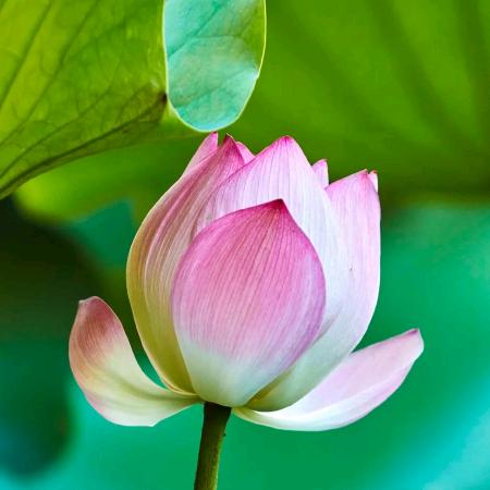 菲菲🌺