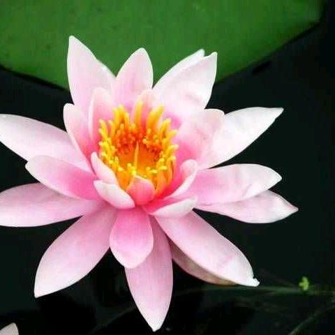 GXS    用户32129319706