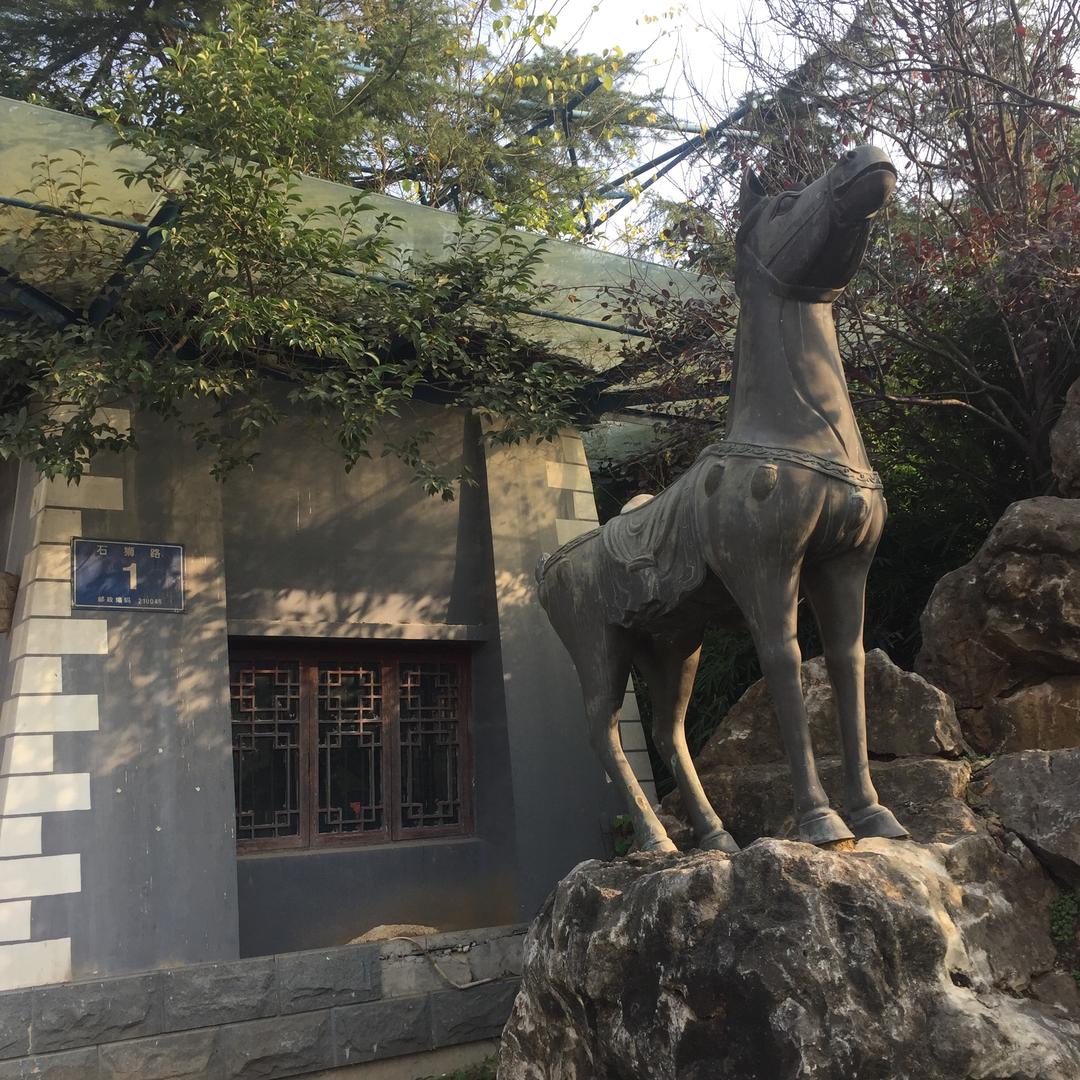 一马平川的我