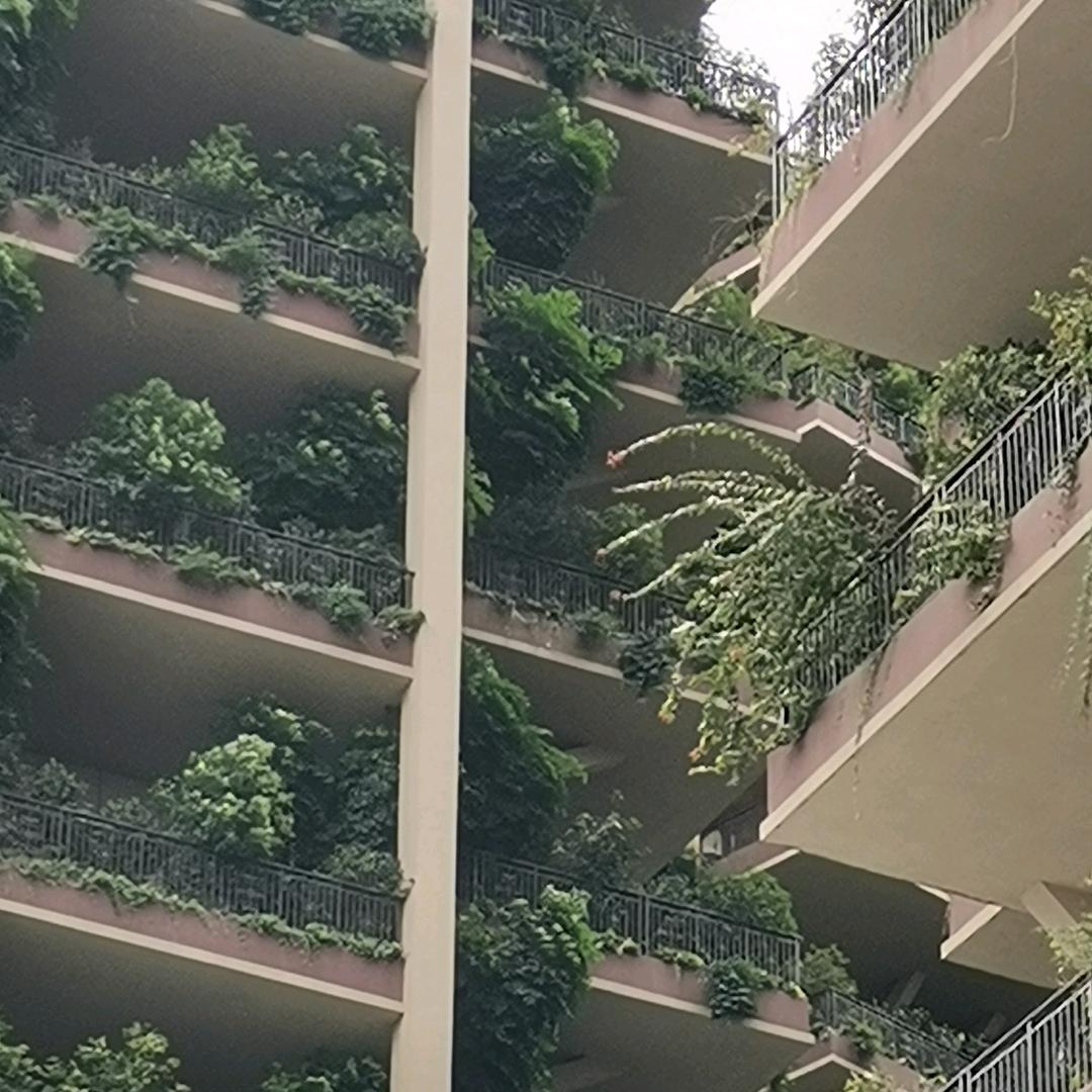 旺财